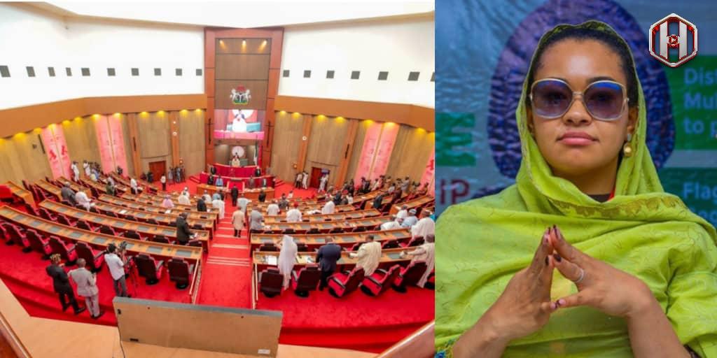 Court directs senate to reinstate Senator Natasha