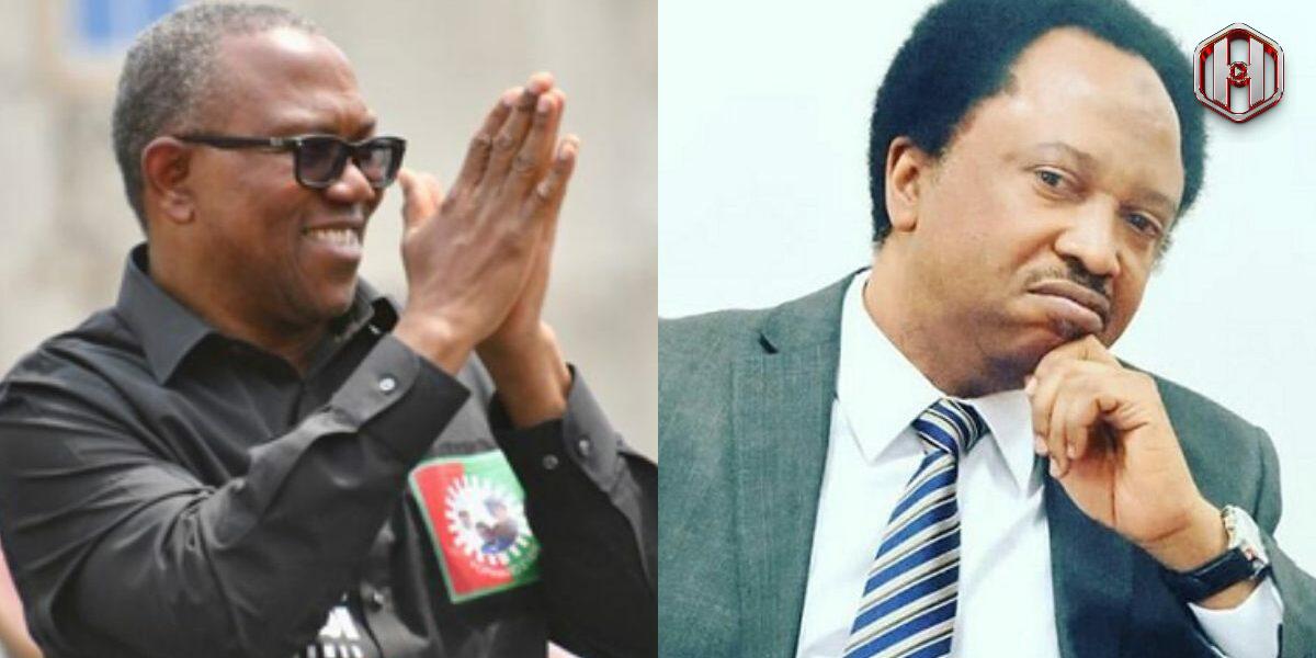 Peter Obi should remain in LP, avoid ADC coalition – Shehu Sani